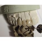 CAD Technique ISO13485 Interim Crown for sale