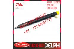China 28231014 DELPHI Diesel Fuel Injector For Great Wall Autombile 1100100-ED01 supplier