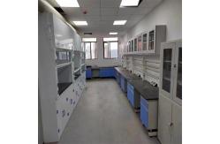 China Customized Made Wall Mounted Chemical Fume Hood With Scrubber Systems supplier