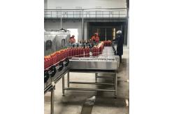 China 2TPH Tomato Paste Processing Line supplier