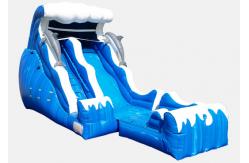 China inflatable slides,inflatable pool slide,small commercial inflatable slides supplier