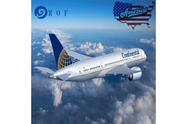 Fast Delivery DDP Air Shipping To USA Amazon