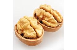 China Walnut Xin 2 supplier