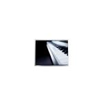AA104XN11 10.4 inch 1024*768 LCD Display Module for sale