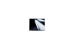 China AA104XN11 10.4 inch 1024*768 LCD Display Module supplier