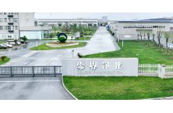 China Dome Infrared Camera manufacturer