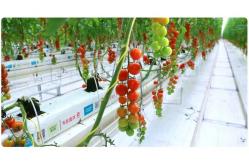 China Greenhouse Polypropylene Thread Packing 1800m/Roll 3000m/Roll PP Twine supplier