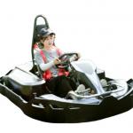 14Nm Torque Competitive Go Karting 48V Junior Racing Go Kart for sale