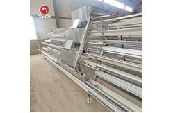 China Hot / Cold Dipped Galvanized battery cage chicken farming Wire Mesh supplier