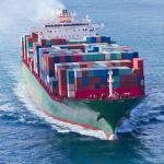 Professional DDU Shipping for sale