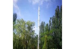 China Artificial Self Supporting 50m Monopole Steel Tower supplier