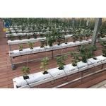 Greenhouse Substrate Gutter Growing System Hydroponic Plastic Tomato Growing Trough for sale