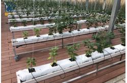 China Greenhouse Substrate Gutter Growing System Hydroponic Plastic Tomato Growing Trough supplier