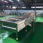800kg/H Cherry Bubble Washing Machine Automatic Transmission for sale
