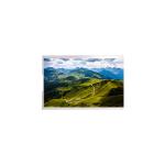 BOE lcd display NS101WUM-N51 10.1 inch LCD Screen Display Panel for sale