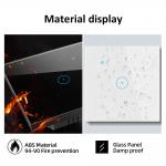 16A Max Tuya Zigbee Light Switch IEEE 802.11bgn Wifi Touch Light Switch