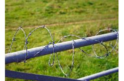 China Rust Resistance Single Strand Galvanized Steel Barbed Wire Fence Construction Protection supplier