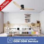 Modern Design Wooden Blades DC Ceiling Fan with Reversible Function and Remote Control