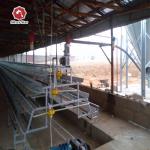 A Type Baby Layer Chicken Brooder Cage Automatic for sale