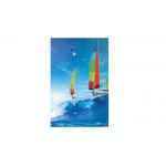 SGS Flip 3 Image In One 3D Lenticular Card 3.5x2 Inch 3D Name Cards for sale