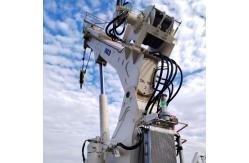 China 2.5T14M Offshore Drilling Rig Crane supplier