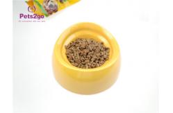 China M Size Easy lifting BPA Free Pet Feeder Bowls supplier