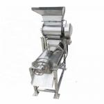 CE  ISO Industrial Mango Juice Making Machine Fruit Juice Extractor  1T/H for sale