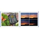 1.3M Pixels Wildlife Garden Camera Time Lapse Support SDHC MMC