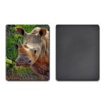 PET / PP Lenticular 3D Coolest Fridge Magnets Heidelberg Machine Printing for sale