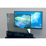 High Brightness OLED Transparent Display , Full Color Clear OLED Screen Multipurpose for sale
