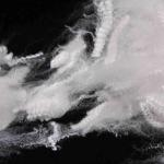 Eco-Friendly Hollow Polyester Fiber 1.33D Siliconized Lightweight White