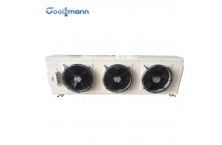 China Walk In Cold Room Freezer supplier