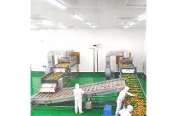 China PLC Control Mango Processing Plant Mango Pulp Processing Machine 380V 50Hz supplier