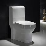 Seamless Porcelain One Piece Elongated Water Closet With Easy To Clean