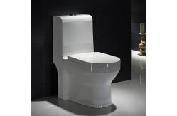 China Seamless Porcelain One Piece Elongated Water Closet With Easy To Clean supplier