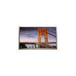 6.6 inch new 720*1612 QM066HS01-1 LCD Screen lcd Monitor for sale