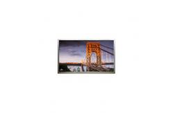 China 6.6 inch new 720*1612 QM066HS01-1 LCD Screen lcd Monitor supplier