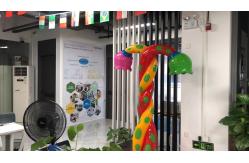 China Splash Water Playground manufacturer