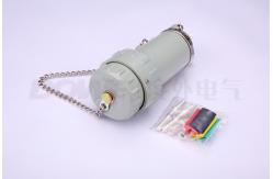 China three phase four wire plug socket 100A electric connector cable connector supplier