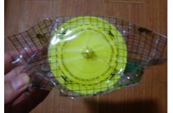 China Disposable Fly Trap supplier