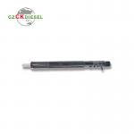 Diesel Common Rail Injector EJBR03301D 11121007AR for Delphi Engine