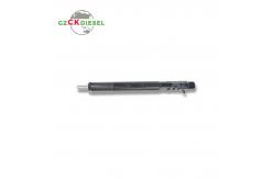 China Diesel Common Rail Injector EJBR03301D 11121007AR for Delphi Engine supplier