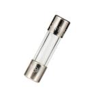 GMA 5 X 20mm Fast Acting Glass Tube Fuses 250V 5 mm X 20 mm Glass Fuse Axial Leads for sale