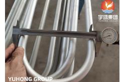 China SA213 /SA213 TP304L/TP316L SEAMLESS U BEND TUBE,  MIN. /AVG .WALL THICKNESS supplier