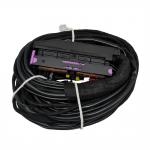 56 Pin ECU Wiring Harness With Multiple Connectors And PVC Pipe Protection for sale