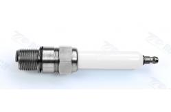 China Jenbacher 620 Series Generator Industrial Spark Plug R9B12-77 supplier