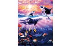 China Sealifes Dolphin Turtle Shark Lenticular 3D Motion Card Souvenir Gift Card supplier