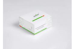 China CE Plasma Serum Ag Rapid Test Kit Ncov Ag Qualitative Detection supplier