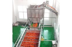 China Stainless Steel Fruit Sorting Machine , Energy Saving Fruit Grading Machine supplier
