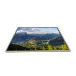 LTD141EA9F 14.1 inch 1024*768 TFT-LCD Screen Display for sale